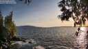 ./images/koeye/fitz-hugh/20250604/fitz-hugh20250604_200509M.jpg