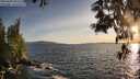 ./images/koeye/fitz-hugh/20250604/fitz-hugh20250604_202509M.jpg