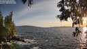 ./images/koeye/fitz-hugh/20250604/fitz-hugh20250604_203508M.jpg