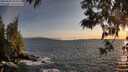./images/koeye/fitz-hugh/20250604/fitz-hugh20250604_204509M.jpg