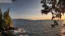 ./images/koeye/fitz-hugh/20250604/fitz-hugh20250604_205009M.jpg