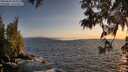 ./images/koeye/fitz-hugh/20250604/fitz-hugh20250604_205509M.jpg