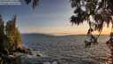 ./images/koeye/fitz-hugh/20250604/fitz-hugh20250604_210009M.jpg