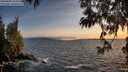 ./images/koeye/fitz-hugh/20250604/fitz-hugh20250604_211009M.jpg