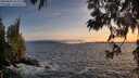 ./images/koeye/fitz-hugh/20250604/fitz-hugh20250604_211509M.jpg