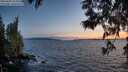 ./images/koeye/fitz-hugh/20250604/fitz-hugh20250604_215009M.jpg