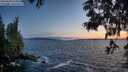 ./images/koeye/fitz-hugh/20250604/fitz-hugh20250604_220009M.jpg