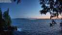 ./images/koeye/fitz-hugh/20250604/fitz-hugh20250604_222009M.jpg