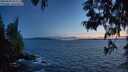 ./images/koeye/fitz-hugh/20250604/fitz-hugh20250604_222509M.jpg