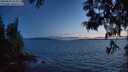 ./images/koeye/fitz-hugh/20250604/fitz-hugh20250604_223009M.jpg