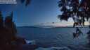 ./images/koeye/fitz-hugh/20250604/fitz-hugh20250604_223509M.jpg