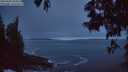 ./images/koeye/fitz-hugh/20250605/fitz-hugh20250605_043009M.jpg