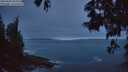 ./images/koeye/fitz-hugh/20250605/fitz-hugh20250605_043508M.jpg