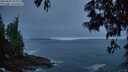 ./images/koeye/fitz-hugh/20250605/fitz-hugh20250605_044508M.jpg