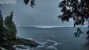 ./images/koeye/fitz-hugh/20250605/fitz-hugh20250605_045509M.jpg