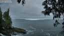 ./images/koeye/fitz-hugh/20250605/fitz-hugh20250605_051008M.jpg