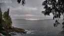 ./images/koeye/fitz-hugh/20250605/fitz-hugh20250605_053009M.jpg