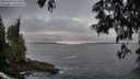 ./images/koeye/fitz-hugh/20250605/fitz-hugh20250605_053508M.jpg
