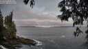 ./images/koeye/fitz-hugh/20250605/fitz-hugh20250605_054008M.jpg