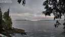 ./images/koeye/fitz-hugh/20250605/fitz-hugh20250605_055008M.jpg