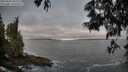 ./images/koeye/fitz-hugh/20250605/fitz-hugh20250605_055508M.jpg