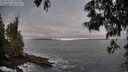 ./images/koeye/fitz-hugh/20250605/fitz-hugh20250605_060011M.jpg