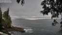 ./images/koeye/fitz-hugh/20250605/fitz-hugh20250605_060509M.jpg