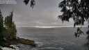 ./images/koeye/fitz-hugh/20250605/fitz-hugh20250605_062510M.jpg