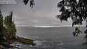 ./images/koeye/fitz-hugh/20250605/fitz-hugh20250605_063010M.jpg