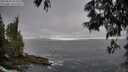 ./images/koeye/fitz-hugh/20250605/fitz-hugh20250605_063510M.jpg