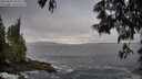 ./images/koeye/fitz-hugh/20250605/fitz-hugh20250605_064508M.jpg