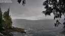 ./images/koeye/fitz-hugh/20250605/fitz-hugh20250605_065010M.jpg