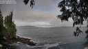 ./images/koeye/fitz-hugh/20250605/fitz-hugh20250605_071010M.jpg