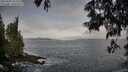 ./images/koeye/fitz-hugh/20250605/fitz-hugh20250605_072510M.jpg