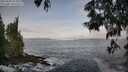 ./images/koeye/fitz-hugh/20250605/fitz-hugh20250605_073009M.jpg
