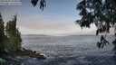 ./images/koeye/fitz-hugh/20250605/fitz-hugh20250605_074010M.jpg
