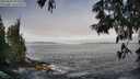 ./images/koeye/fitz-hugh/20250605/fitz-hugh20250605_075010M.jpg