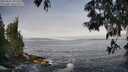 ./images/koeye/fitz-hugh/20250605/fitz-hugh20250605_075510M.jpg