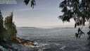 ./images/koeye/fitz-hugh/20250605/fitz-hugh20250605_080012M.jpg