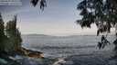 ./images/koeye/fitz-hugh/20250605/fitz-hugh20250605_080509M.jpg
