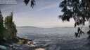 ./images/koeye/fitz-hugh/20250605/fitz-hugh20250605_081011M.jpg