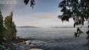 ./images/koeye/fitz-hugh/20250605/fitz-hugh20250605_083011M.jpg