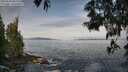 ./images/koeye/fitz-hugh/20250605/fitz-hugh20250605_083510M.jpg