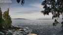 ./images/koeye/fitz-hugh/20250605/fitz-hugh20250605_084010M.jpg