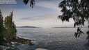 ./images/koeye/fitz-hugh/20250605/fitz-hugh20250605_084511M.jpg