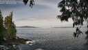 ./images/koeye/fitz-hugh/20250605/fitz-hugh20250605_085010M.jpg