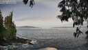 ./images/koeye/fitz-hugh/20250605/fitz-hugh20250605_085509M.jpg