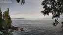 ./images/koeye/fitz-hugh/20250605/fitz-hugh20250605_090012M.jpg
