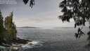 ./images/koeye/fitz-hugh/20250605/fitz-hugh20250605_090510M.jpg