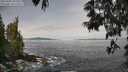 ./images/koeye/fitz-hugh/20250605/fitz-hugh20250605_091010M.jpg
